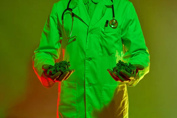 Καλλιεργημένη Εικόνα Ενός Άνδρα Γιατρού Που Κρατάει Μπουμπούκια Ξηρής Μαριχουάνας — Φωτογραφία Αρχείου