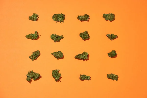 Collection Green Dried Marijuana Buds Isolated Orange Background Light Drug — Stock Photo, Image