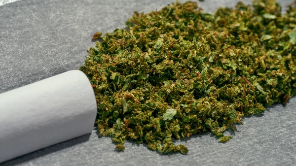 Cierre Parcial Marihuana Triturada Seco Sobre Papel Para Cannabis Enrollado —  Fotos de Stock