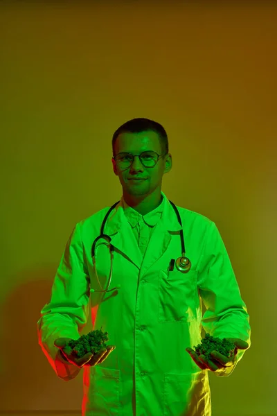Front View European Male Doctor Holding Dry Marijuana Buds Hands — Φωτογραφία Αρχείου