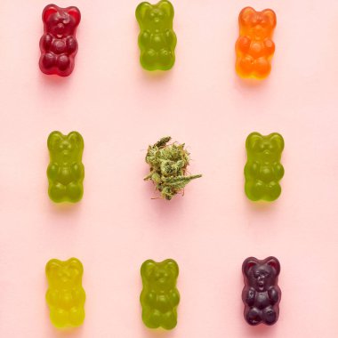 Green dry cutting marijuana bud and colorful sweet yummy teddy bear candies in rows on beige background. Light drug and addiction. Herbal medicine and painkiller therapy. Natural organic cannabis