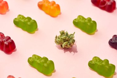 Partial view of green dry crushed marijuana bud and colorful yummy teddy bear candies on beige background. Light drug and addiction. Herbal medicine and painkiller therapy. Natural organic cannabis