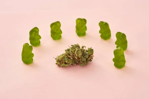 Green Dry Crushed Marijuana Bud Sweet Yummy Teddy Bear Candies — Stockfoto