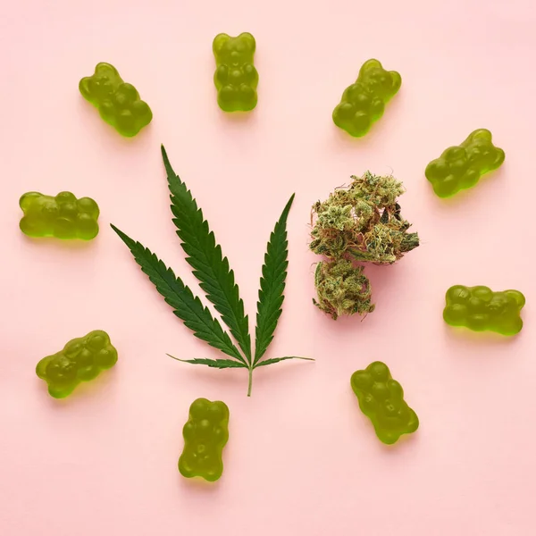 Green Marijuana Leaf Dry Crushed Buds Sweet Yummy Teddy Bear — Stok fotoğraf