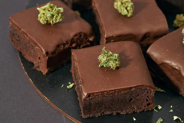 Обрезанный Вид Тарелки Сладкими Вкусными Кусочками Шоколадного Торта Зеленый Сухой — стоковое фото