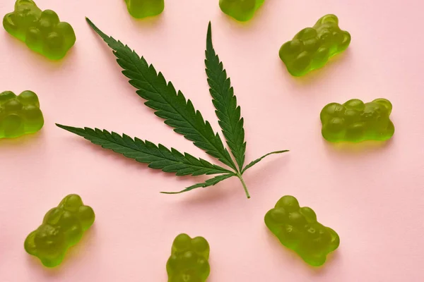 Close Green Fresh Marijuana Leaf Sweet Yummy Teddy Bear Candies — Stok fotoğraf