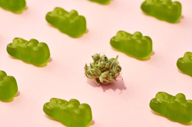 Partial view of green dry crushed marijuana bud and sweet yummy teddy bear candies on beige background. Light drug and addiction. Herbal medicine and painkiller therapy. Natural organic cannabis