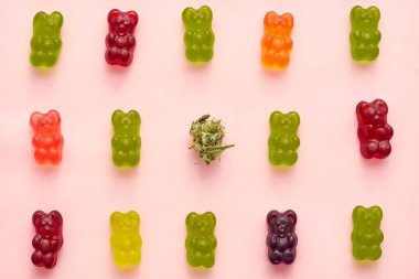 Green dry marijuana bud and colorful sweet yummy teddy bear candies in three rows on beige background. Light drug and addiction. Herbal medicine and painkiller therapy. Natural organic cannabis