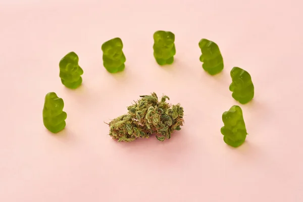 Green Dry Marijuana Bud Sweet Yummy Teddy Bear Candies Isolated — Stock fotografie