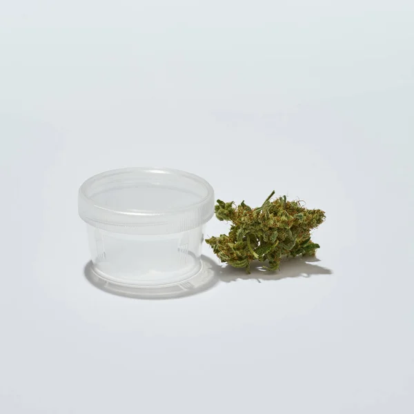 Verse Groene Droge Gemalen Marihuana Knop Plastic Pot Geïsoleerd Witte — Stockfoto