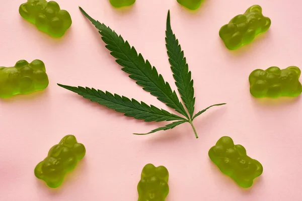Close Green Fresh Marijuana Leaf Sweet Yummy Teddy Bear Candies — Stockfoto