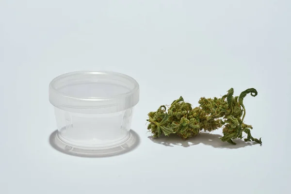 Fresh Green Dry Cutting Marijuana Bud Plastic Jar Isolated White — Fotografia de Stock
