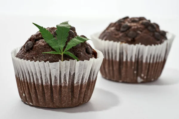 Foco Seletivo Folha Maconha Verde Cupcake Chocolate Com Cupcake Desfocado — Fotografia de Stock