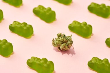 Cropped view of green dry crushed marijuana bud and sweet yummy teddy bear candies on beige background. Light drug and addiction. Herbal medicine and painkiller therapy. Natural organic cannabis