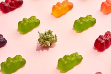 Cropped view of dry crushed marijuana bud and colorful sweet yummy teddy bear candies on beige background. Light drug and addiction. Herbal medicine and painkiller therapy. Natural organic cannabis