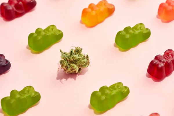 Cropped View Dry Crushed Marijuana Bud Colorful Sweet Yummy Teddy — Stock Photo, Image