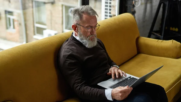 Senior Concentrated Caucasian Man Using Laptop Sofa Home Stylish Bearded — Stock Photo, Image