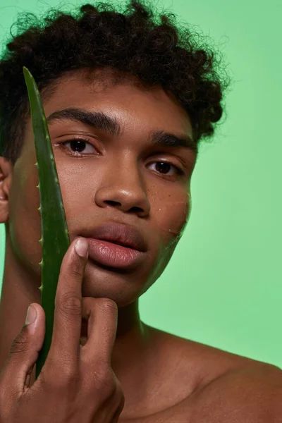 Cropped Black Guy Holding Aloe Vera Green Leaf His Face — Φωτογραφία Αρχείου