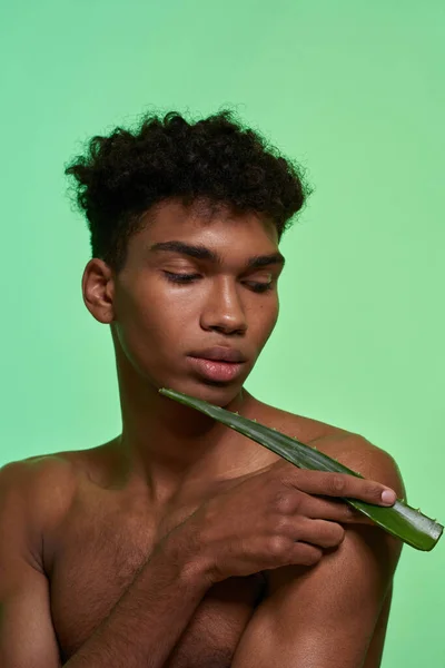 Partial Black Handsome Guy Holding Aloe Vera Green Leaf His — Fotografia de Stock