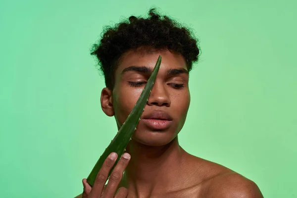 Cropped Black Handsome Guy Holding Aloe Vera Green Leaf His — Stock Fotó