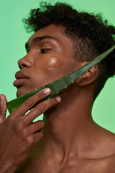 Partial Black Guy Holding Aloe Vera Green Leaf His Face — Φωτογραφία Αρχείου