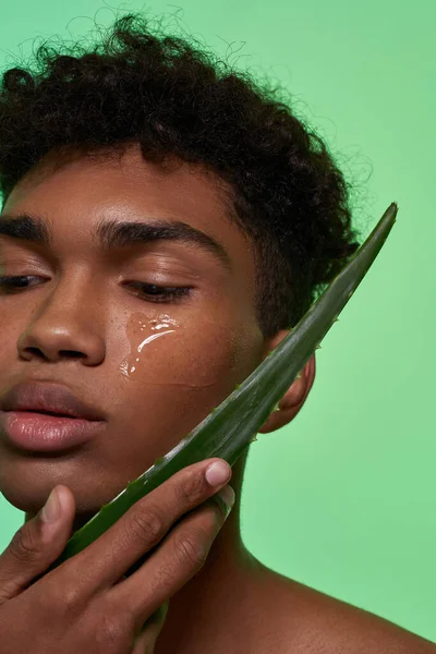 Partial of black guy holding aloe vera green leaf on his face with lotion on this plant. Obscure face of young brunette curly man. Facial skin care. Isolated on green background. Studio shoot