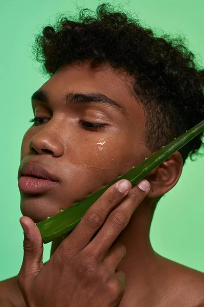 Cropped Black Guy Holding Aloe Vera Green Leaf His Face — Stock Fotó