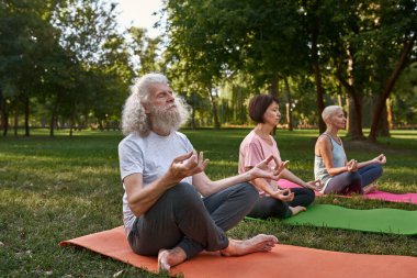 Three senior caucasian friends meditating and practicing yoga in lotus pose on fitness mats on lawn. Sportive man and women with closed eyes. Friendship. Healthy lifestyle. Sunny day in green park