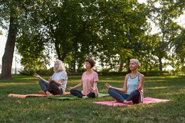 Concentrated elderly caucasian friends meditating and practicing yoga in lotus pose on fitness mats on meadow. Sportive man and women with closed eyes. Friendship. Healthy lifestyle. Sunny green park