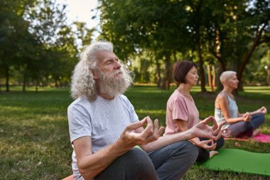 Selective focus of man with blur friends meditate and practice yoga in lotus pose on fitness mats on meadow. Elderly caucasian people with closed eyes. Friendship. Healthy lifestyle. Green sunny park