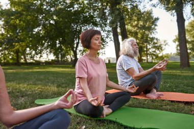 Senior caucasian friends meditating and practicing yoga in lotus pose on fitness mats on lawn. Sportive man and women with closed eyes. Friendship. Healthy lifestyle. Sunny day in green park