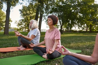 Elderly caucasian friends meditating and practicing yoga in lotus pose on fitness mats on meadow. Sportive man and women with closed eyes. Friendship. Healthy lifestyle. Sunny day in green park