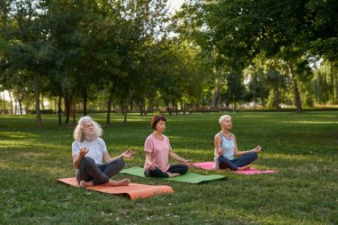 Focused senior caucasian friends meditating and practicing yoga in lotus pose on fitness mats on lawn. Sportive man and women with closed eyes. Friendship. Healthy lifestyle. Sunny day in green park