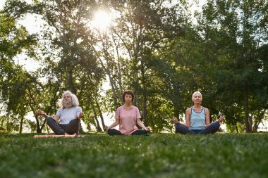Senior european friends meditating and practicing yoga in lotus pose on fitness mats on lawn. Sporty man and women with closed eyes and barefoot. Friendship. Healthy lifestyle. Sunny day in green park