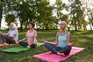 Focused elderly european friends meditating and practicing yoga in lotus pose on fitness mats on meadow. Sportive man and women with closed eyes. Friendship. Healthy lifestyle. Sunny day in green park