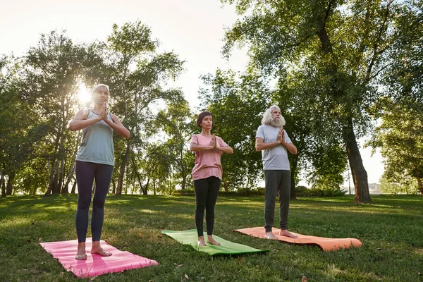 Concentrated Senior Caucasian Friends Meditating Practicing Yoga Fitness Mats Lawn — Zdjęcie stockowe