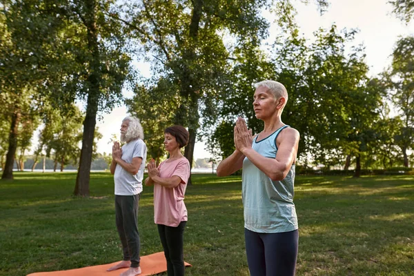Focused Elderly Caucasian Friends Meditating Practicing Yoga Meadow Sportive Man — Zdjęcie stockowe