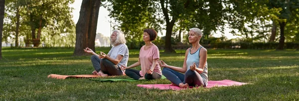 Concentrated Senior Caucasian Friends Meditating Practicing Yoga Lotus Pose Fitness — Zdjęcie stockowe