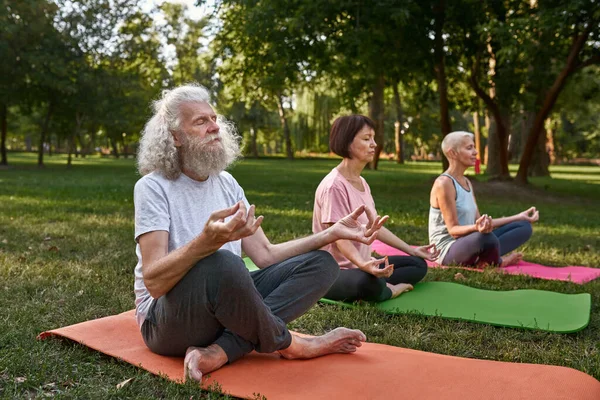 Three Elderly Caucasian Friends Meditating Practicing Yoga Lotus Pose Fitness — Zdjęcie stockowe