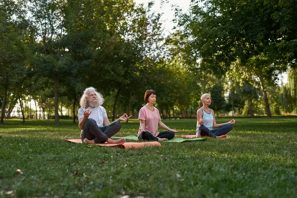 Elderly Caucasian Friends Meditating Practicing Yoga Lotus Pose Fitness Mats — Zdjęcie stockowe