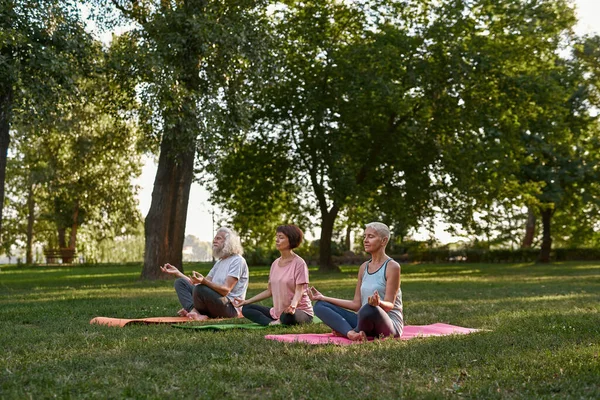 Focused Elderly Caucasian Friends Meditating Practicing Yoga Lotus Pose Fitness — Zdjęcie stockowe