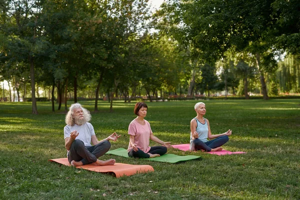 Focused Senior Caucasian Friends Meditating Practicing Yoga Lotus Pose Fitness — Zdjęcie stockowe