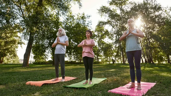 Focused elderly caucasian friends meditating and practicing yoga on fitness mats on meadow. Sportive man and women with closed eyes and barefoot. Friendship. Healthy lifestyle. Sunny green park