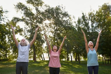 Concentrated senior caucasian friends practicing yoga in upward hand pose on lawn. Sportive man and women with barefoot. Friendship. Concept of healthy lifestyle. Sunny day in green park