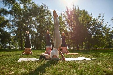 Young caucasian female trainer teaching people how practicing yoga in supported shoulder stand pose in sunny park. Sportive persons on fitness mats on green lawn. Concept of healthy lifestyle