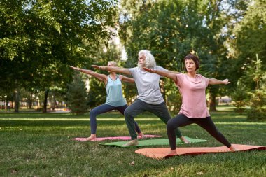 Focused elderly caucasian friends practicing yoga in warrior pose on fitness mats on meadow. Sportive man and women barefoot and looking away. Friendship. Healthy lifestyle. Sunny green park