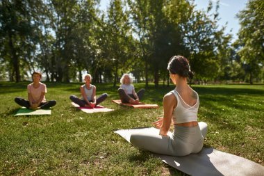 Selective back focus of female trainer teaching blurred mature man and women how practicing yoga in lotus pose in sunny park. Sportive people sitting on fitness mats on green meadow. Healthy lifestyle
