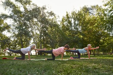 Side view of focused elderly caucasian friends practicing yoga on fitness mats on meadow. Sportive man and women barefoot. Friendship. Healthy lifestyle. Sunny summer day in green park