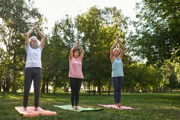 Focused elderly caucasian friends practicing yoga in upward hand pose on fitness mats on meadow. Sportive man and women barefoot. Friendship. Concept of healthy lifestyle. Sunny green park