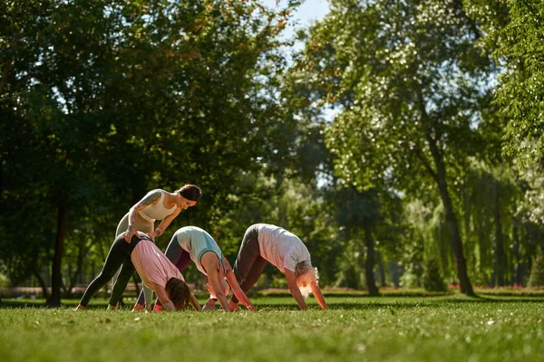 Young caucasian female trainer teaching mature man and women how practicing yoga in downward facing dog pose in sunny park. Sportive people on green meadow. Concept of healthy lifestyle